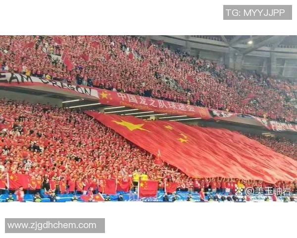 青岛红狮宣布本赛季最后两场主场比赛门票全免球迷可免费观赛 青岛红狮宣布本赛季最后两场主场比赛门票全免球迷可免费观赛